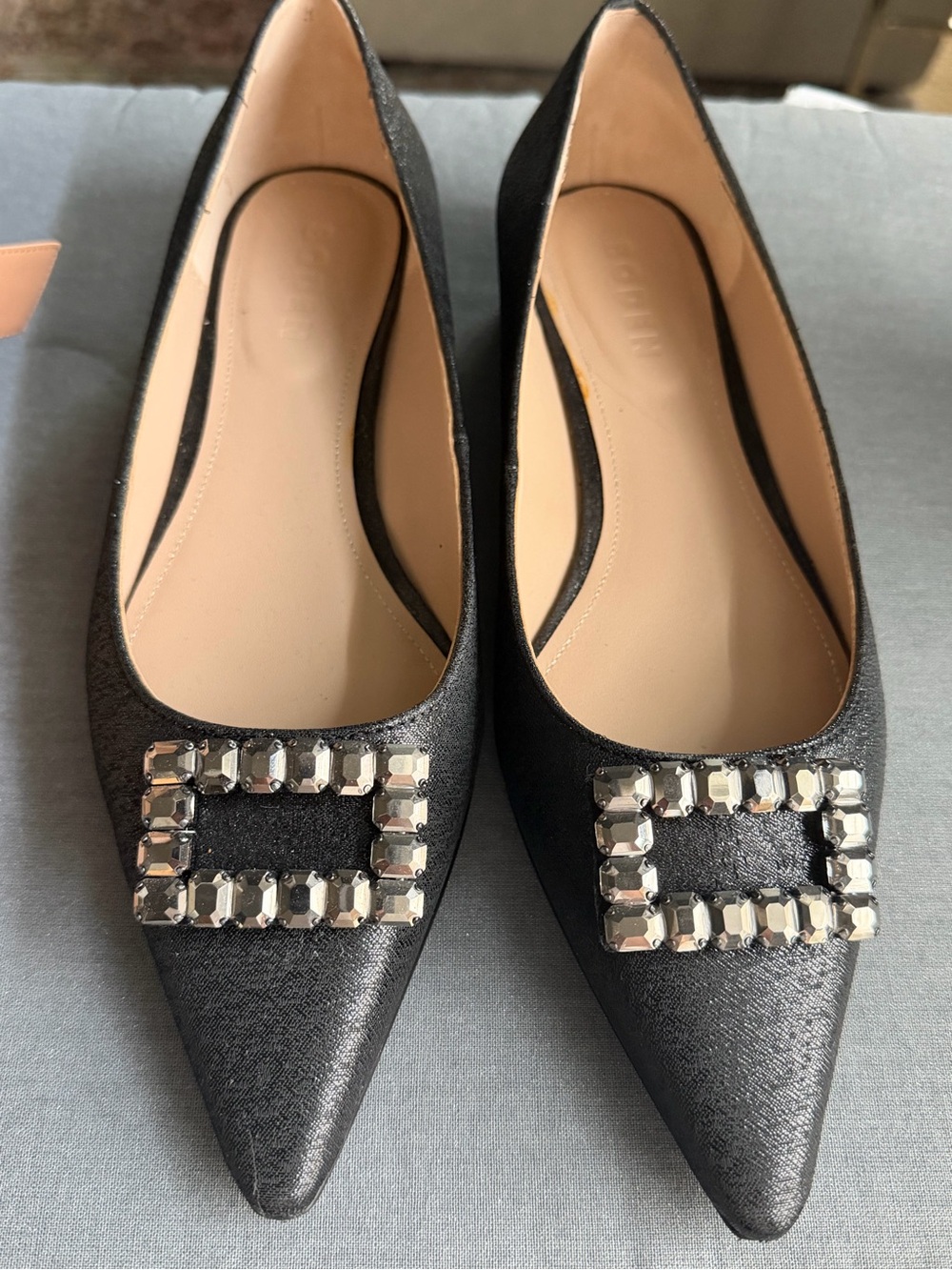 Black Pointed Toe Embellished Women's Flats